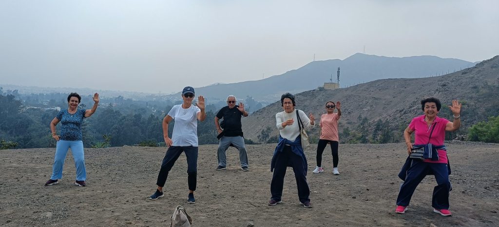 Grupo Rinconada Árbol de linajes de los cinco estilos de Tai Chi, desde el estilo Chen | Escuela Shihei