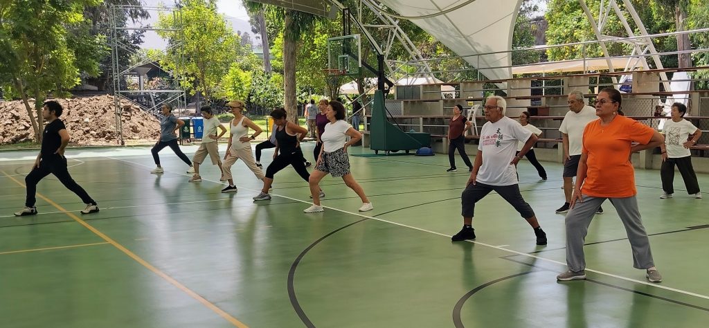 Taichi para adultos mayores taichi adultos mayores | Escuela Shihei